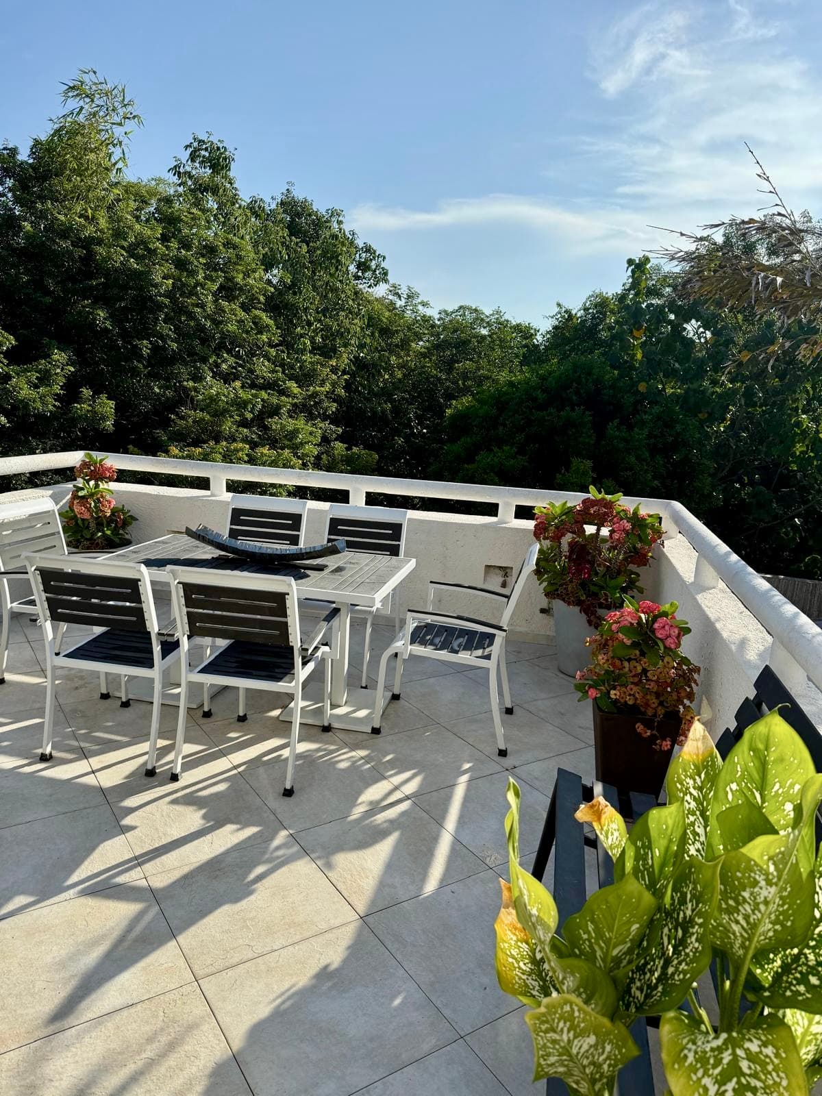 Where luxury, comfort, and entertainment come together.